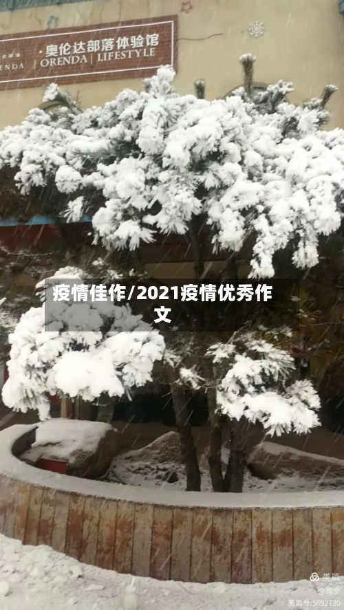 疫情佳作/2021疫情优秀作文