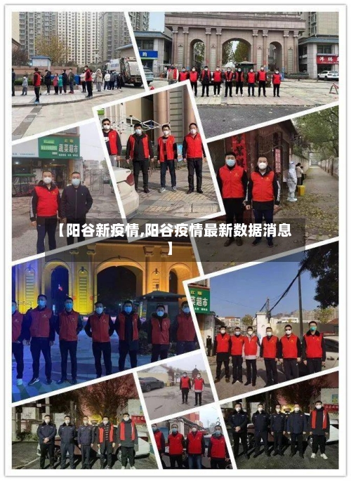 【阳谷新疫情,阳谷疫情最新数据消息】