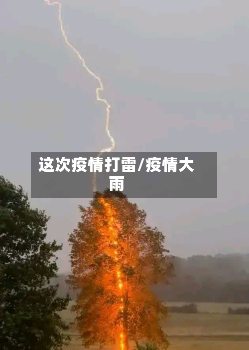 这次疫情打雷/疫情大雨