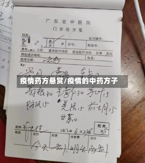 疫情药方悬赏/疫情的中药方子
