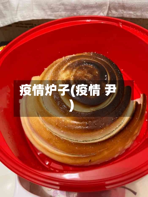 疫情炉子(疫情 尹)