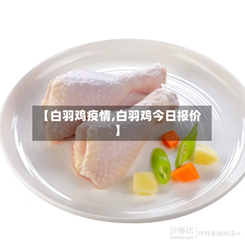 【白羽鸡疫情,白羽鸡今日报价】