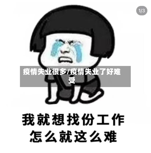 疫情失业很多/疫情失业了好难受