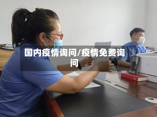 国内疫情询问/疫情免费询问