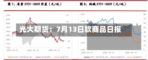 光大期货：7月13日软商品日报