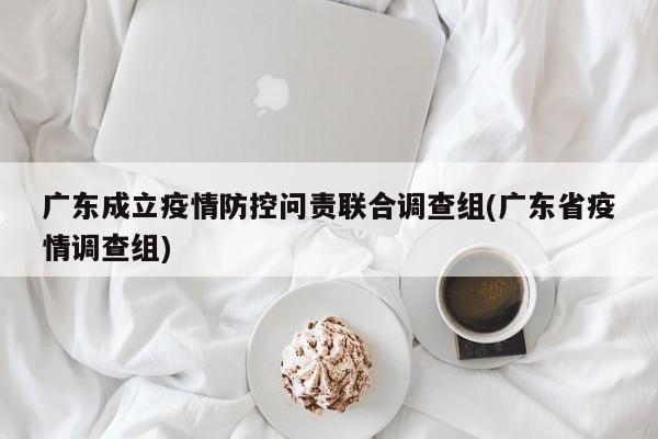 广东成立疫情防控问责联合调查组(广东省疫情调查组)