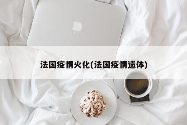 法国疫情火化(法国疫情遗体)