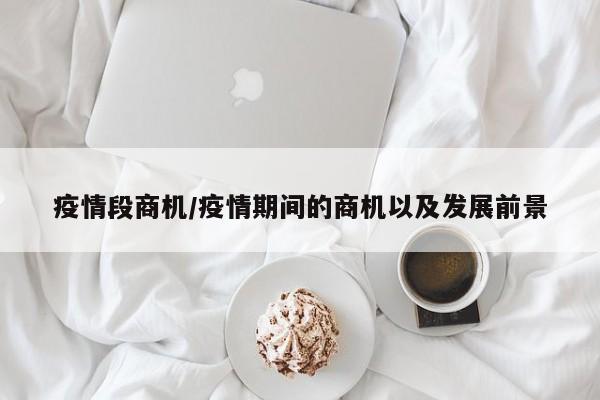 疫情段商机/疫情期间的商机以及发展前景